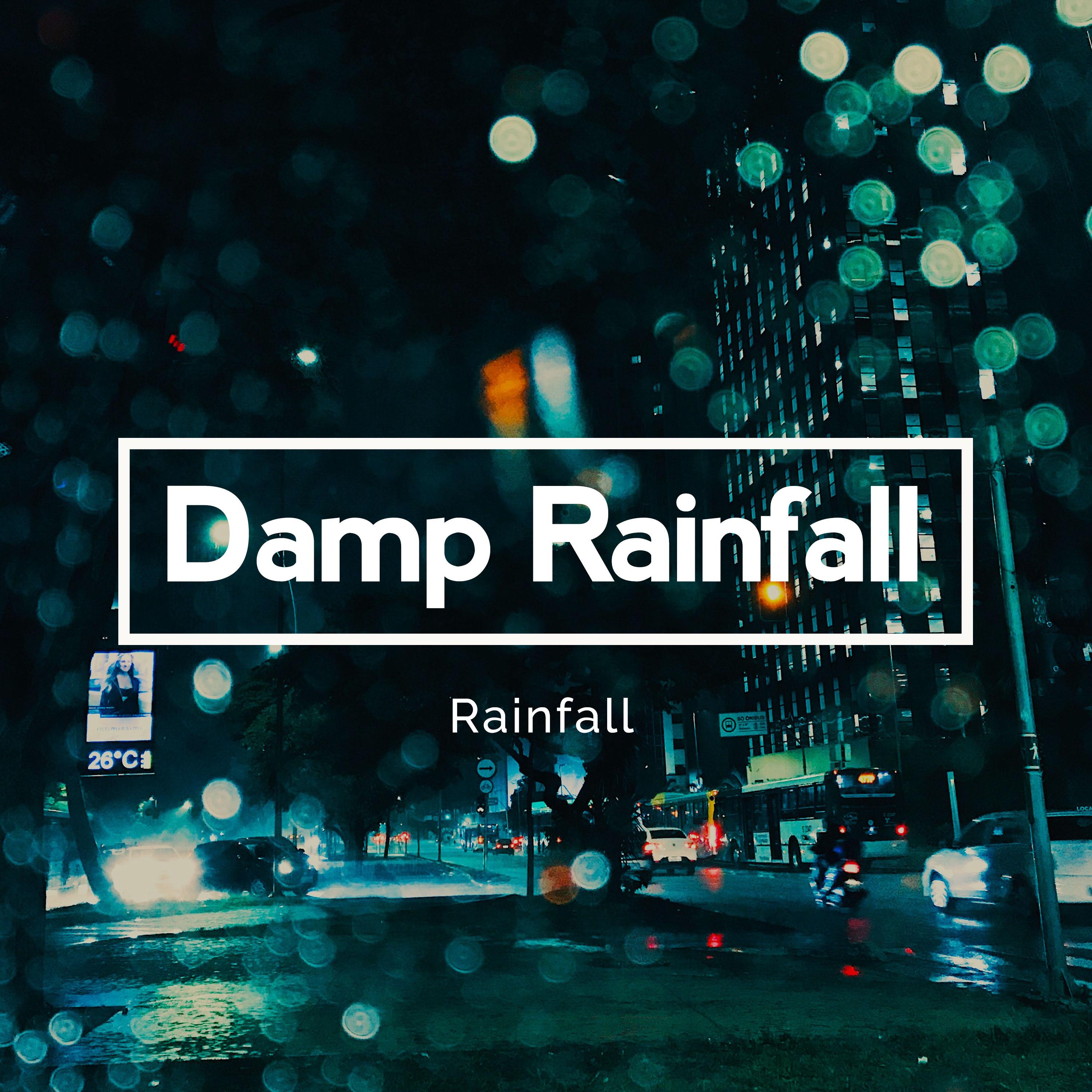 Damp Rainfall