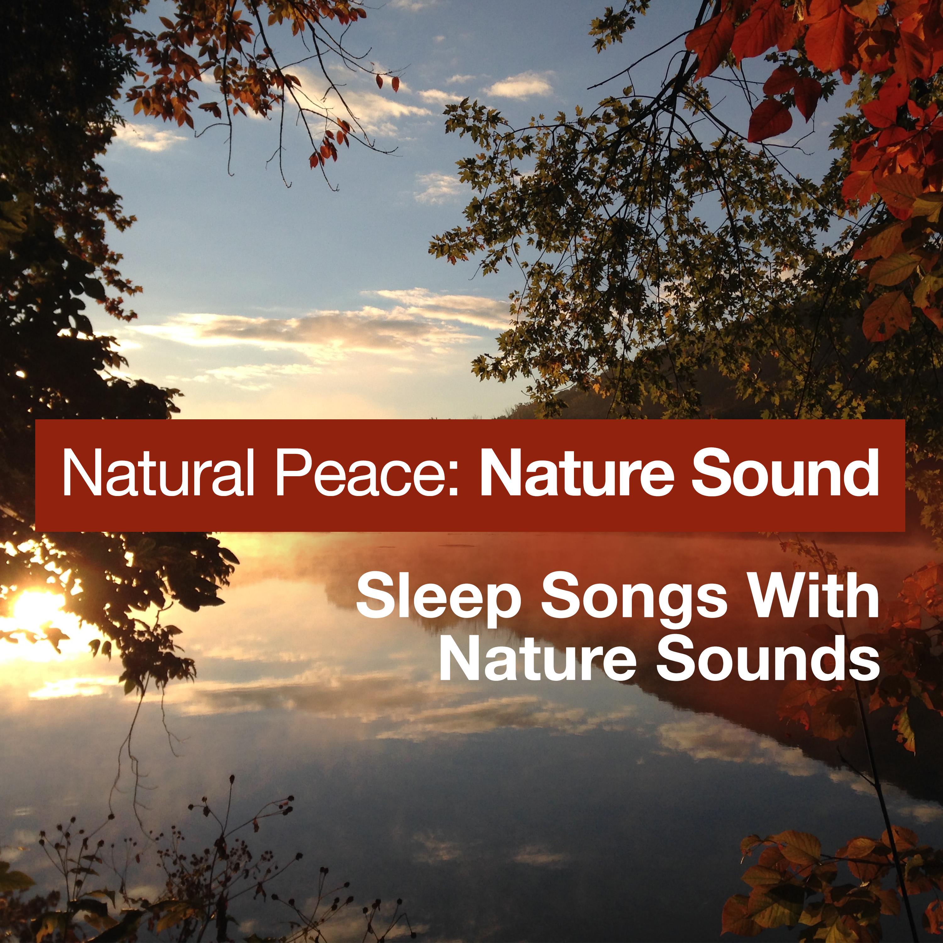 Natural Peace: Nature Sound