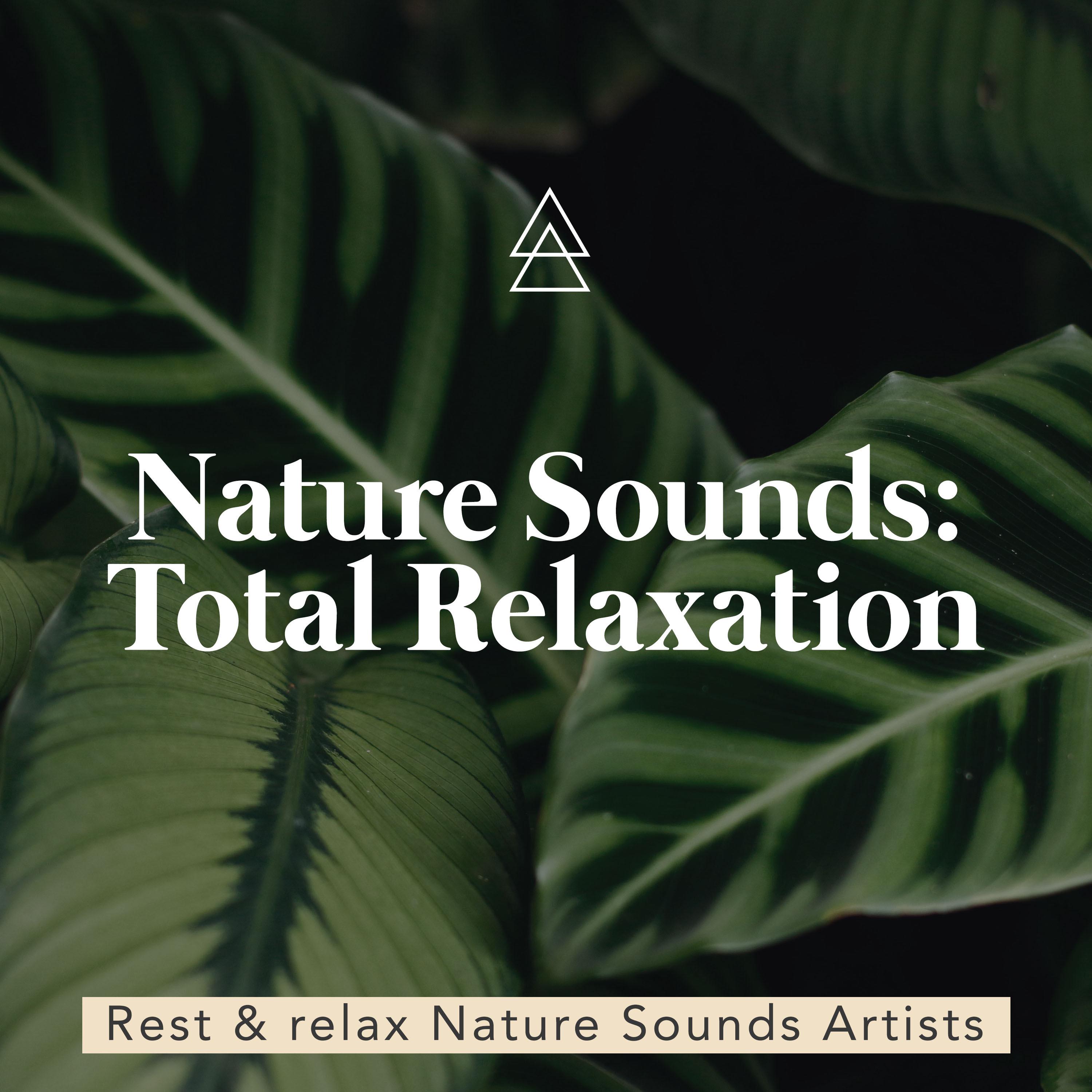 Nature Sounds: Total Relaxation