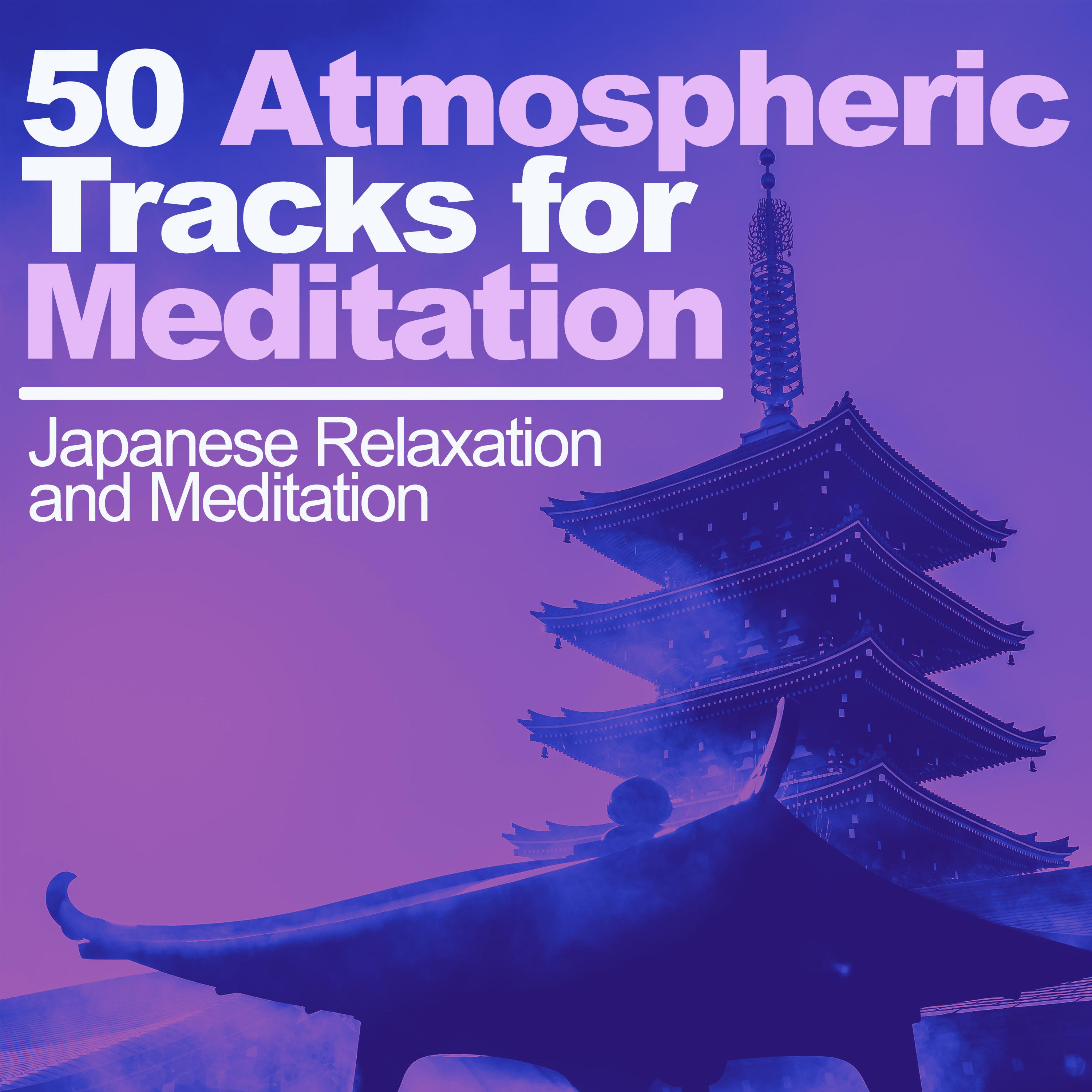 50 Atmospheric Tracks for Meditation