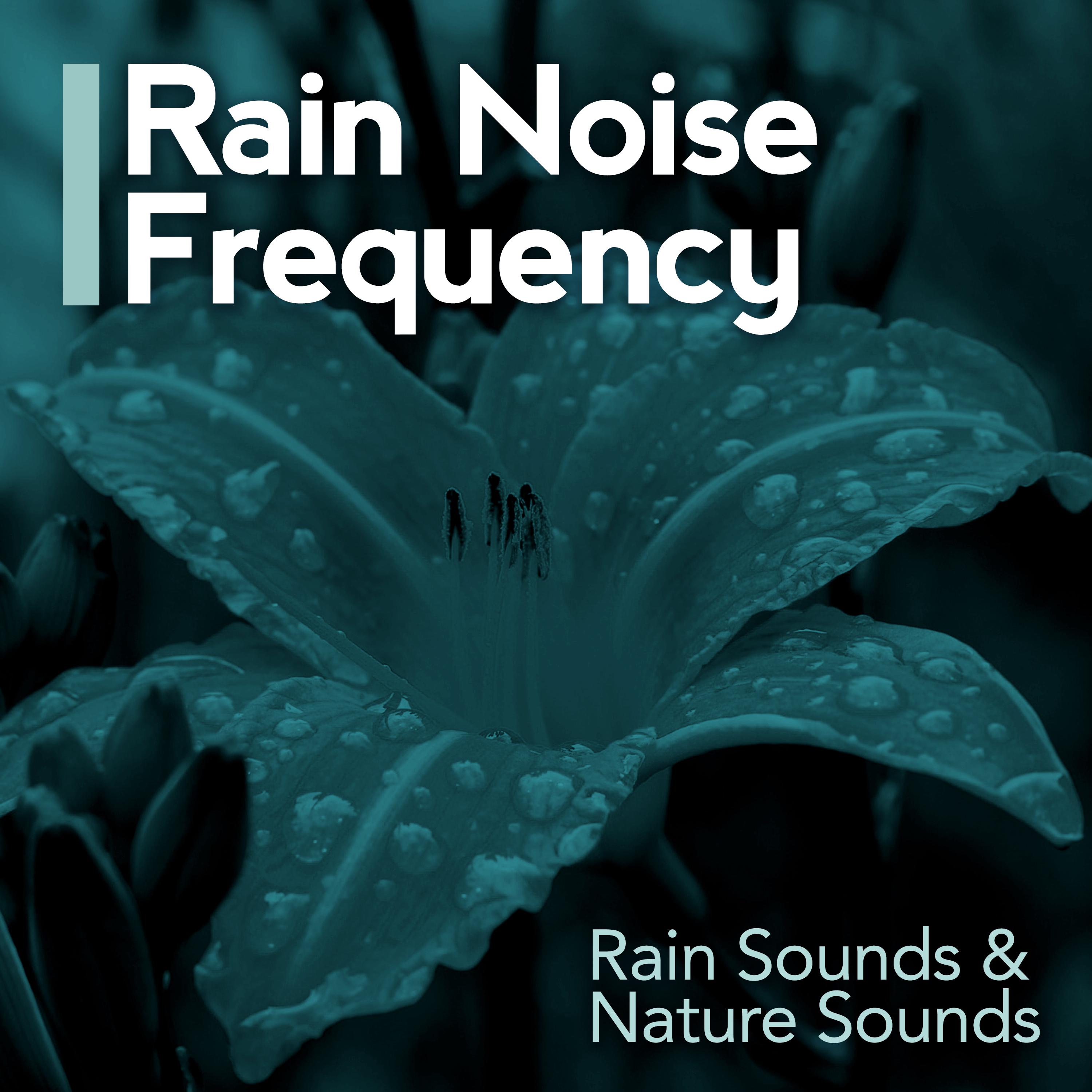 Rain Noise Frequency