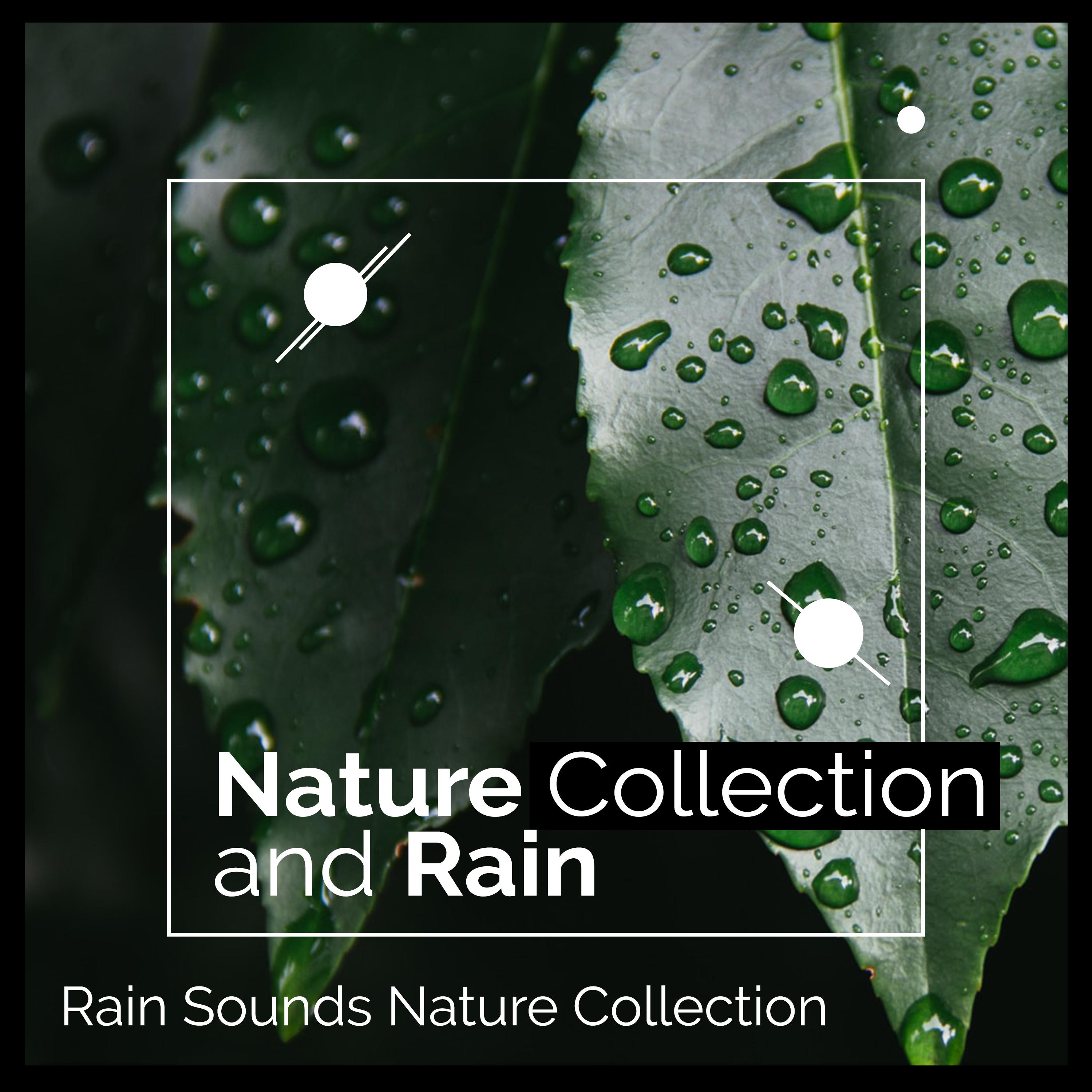 Nature Collection and Rain