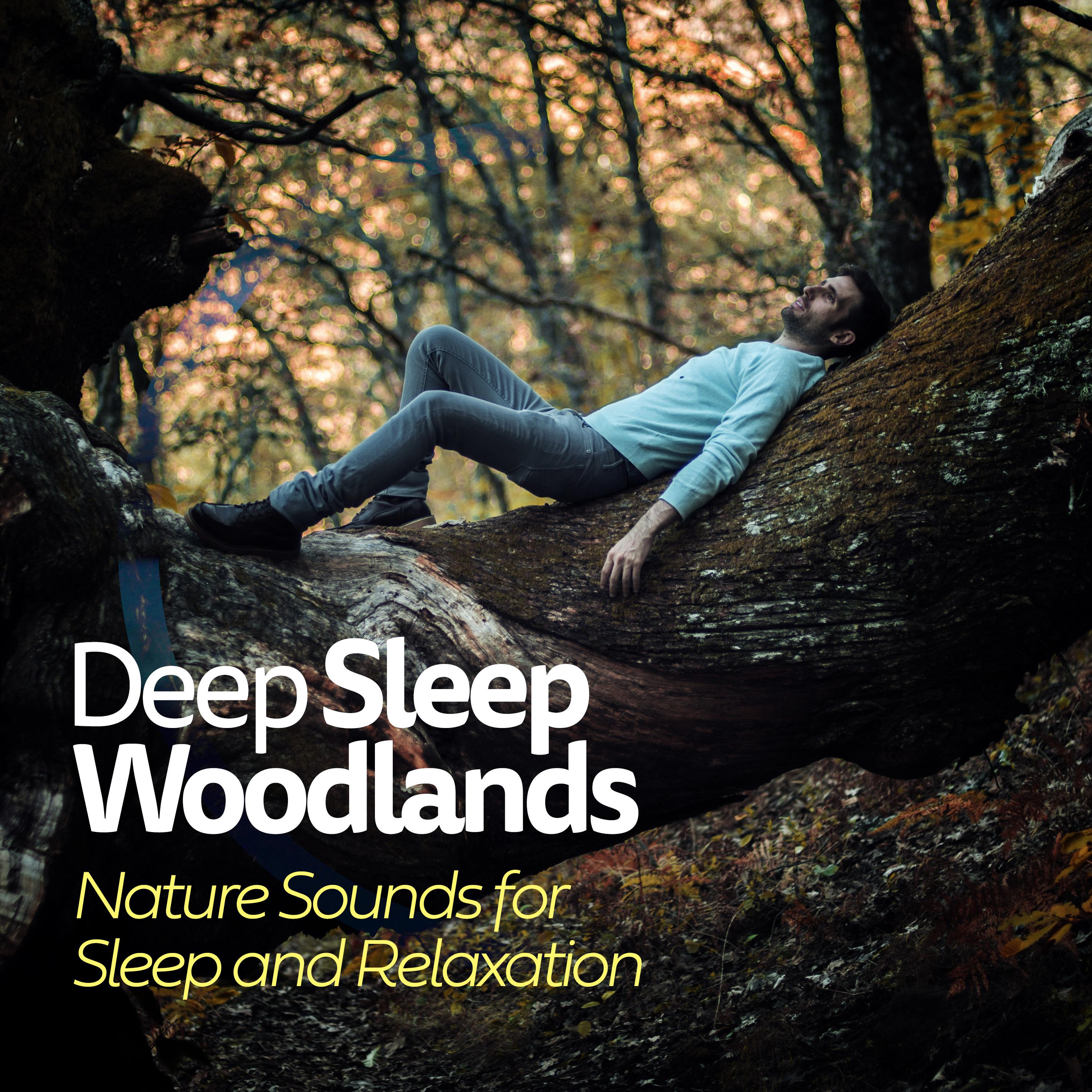 Deep Sleep Woodlands