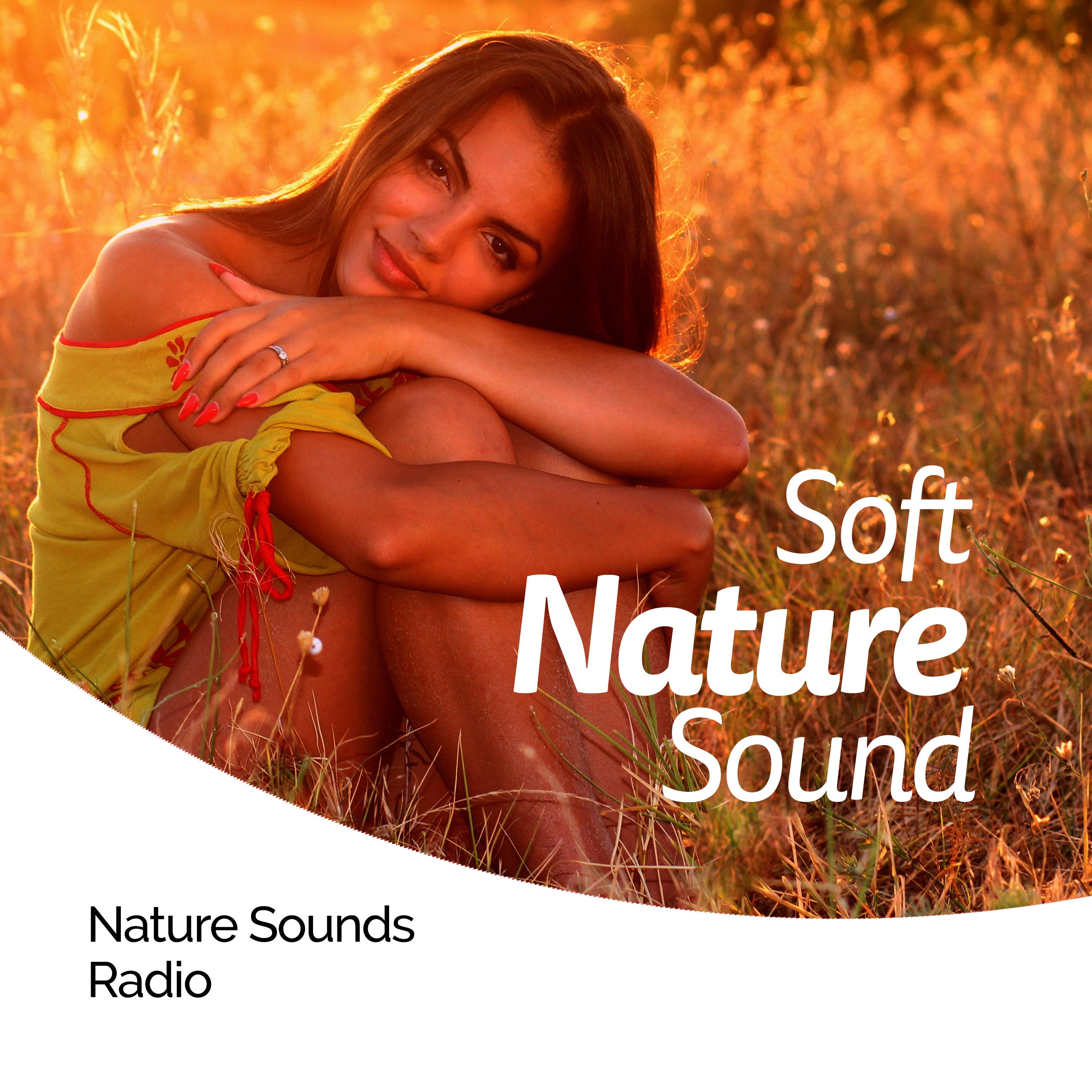 Soft Nature Sound