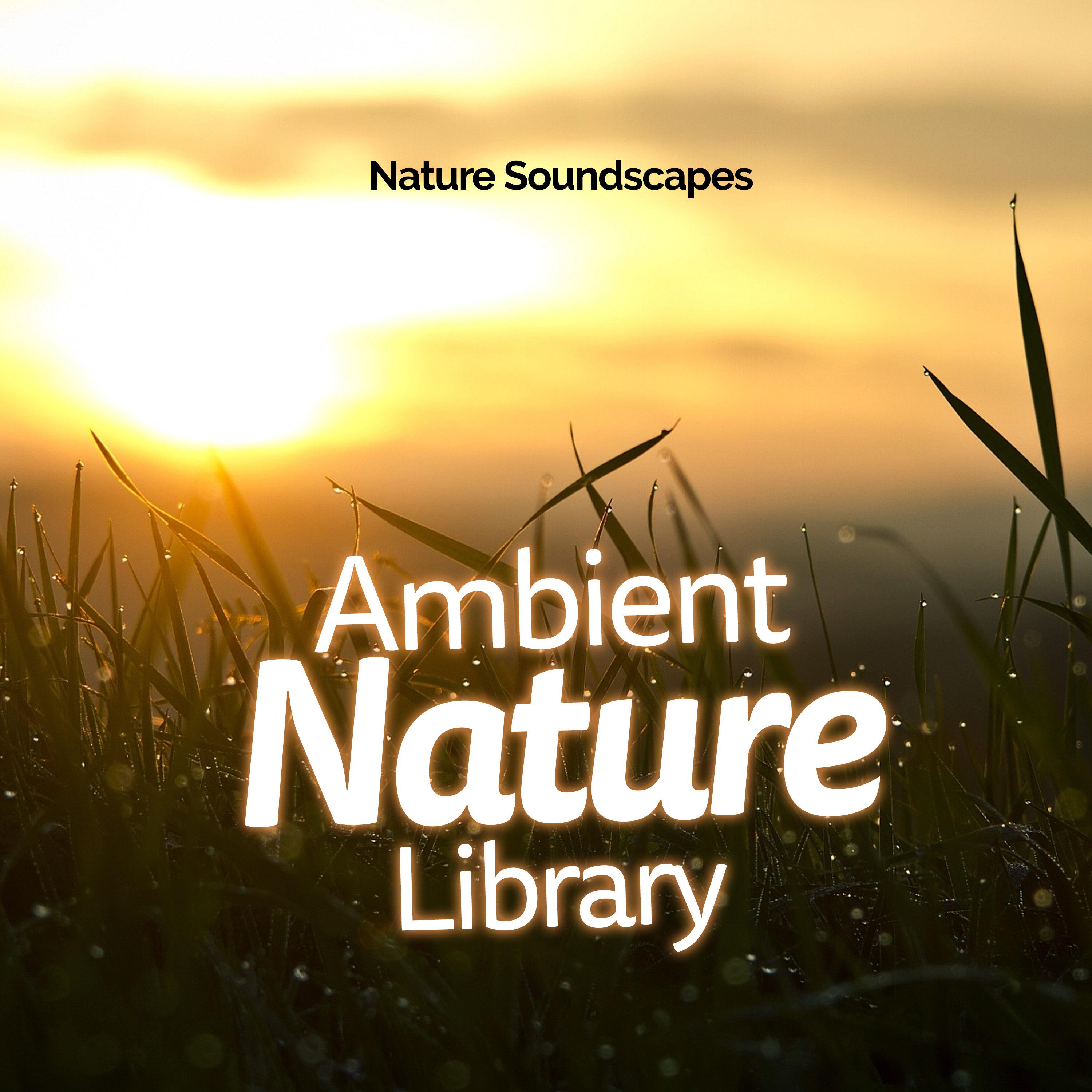 Ambient Nature Library