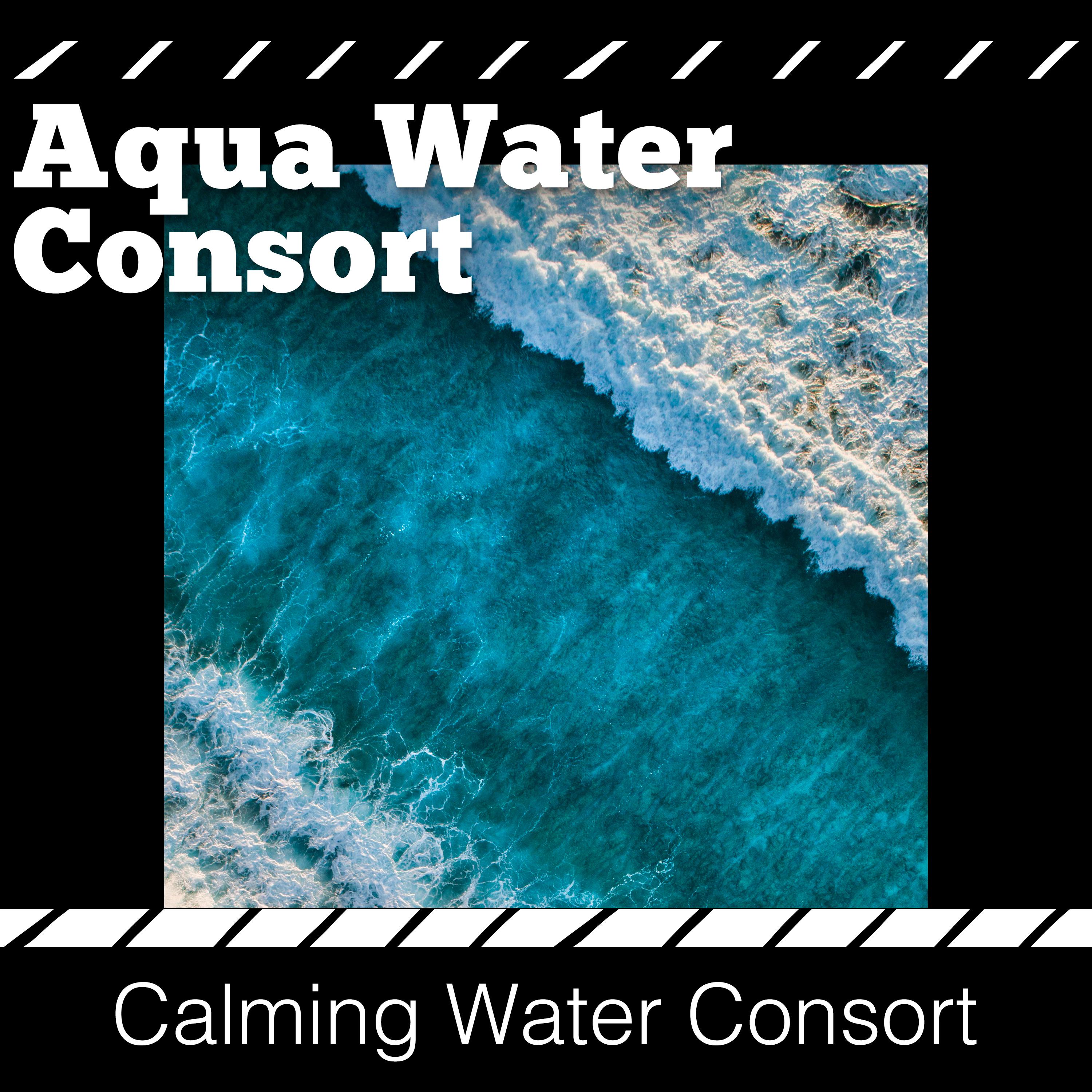 Aqua Water Consort