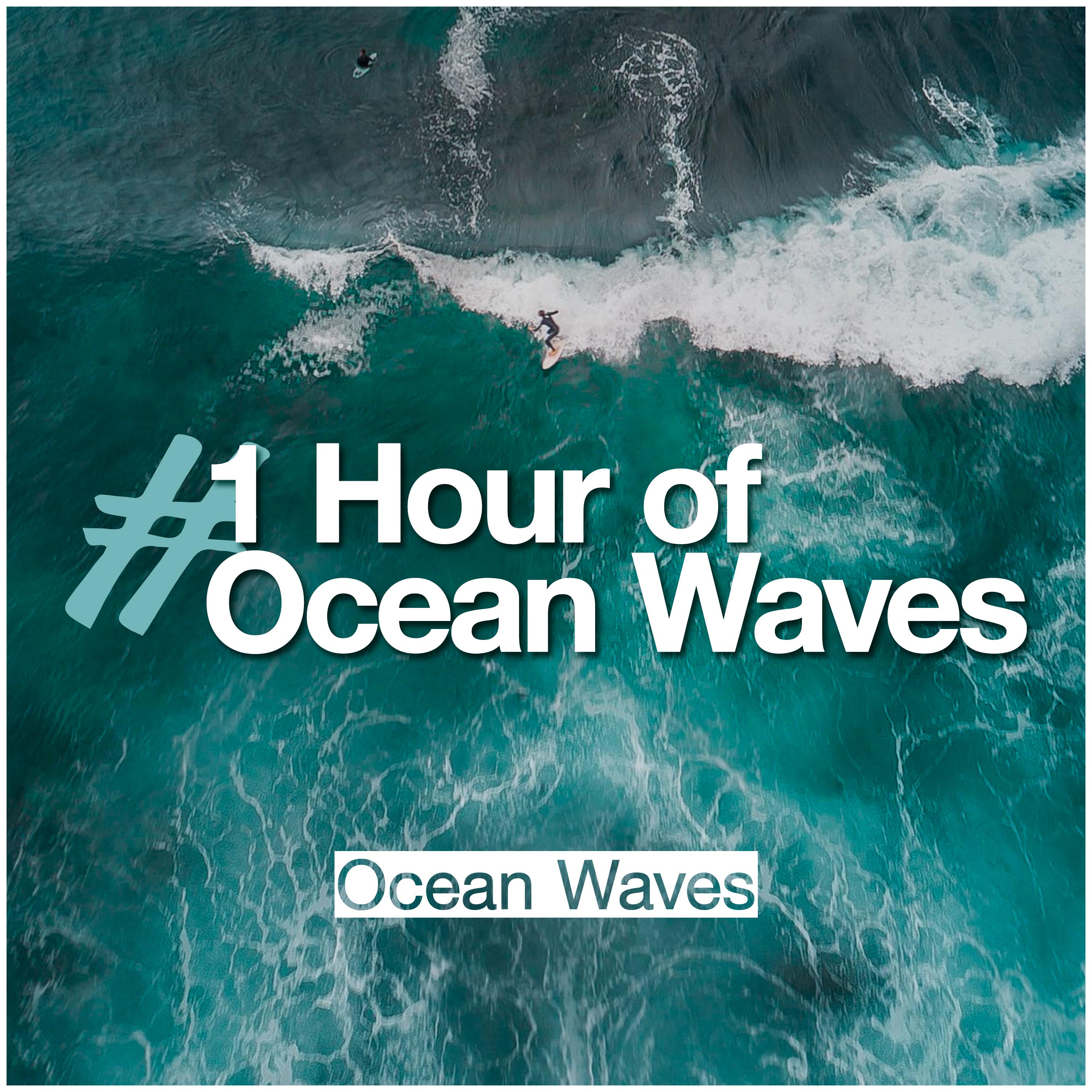 #1 Hour of Ocean Waves