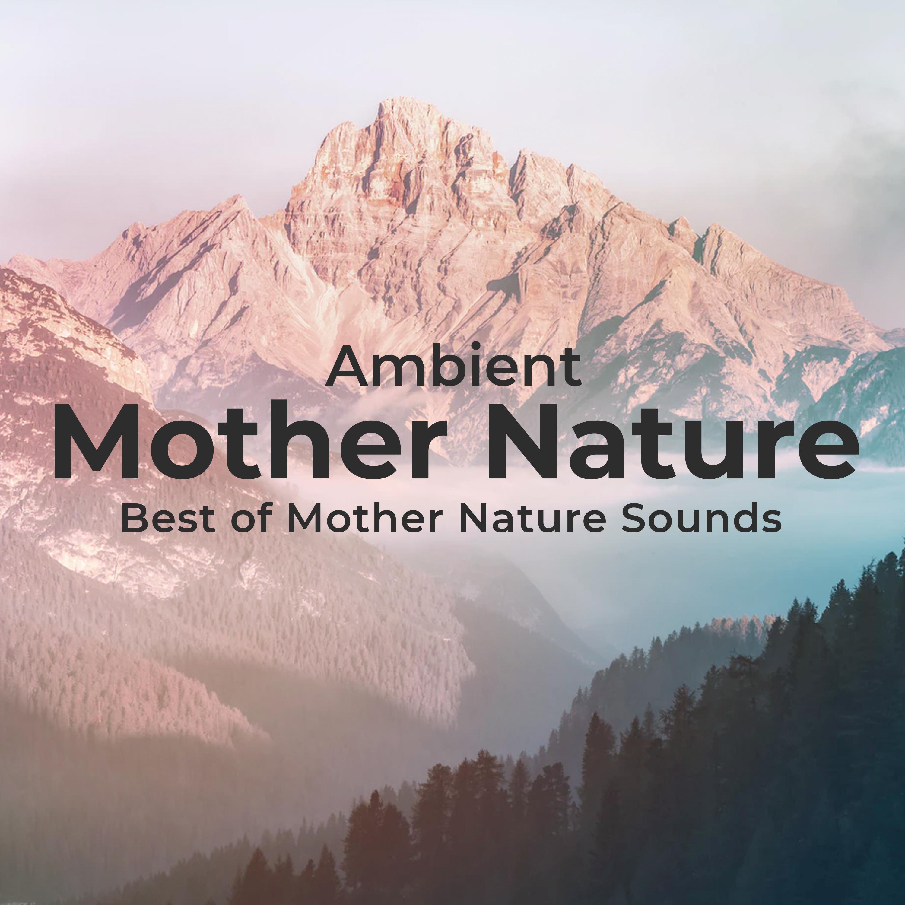 Ambient Mother Nature