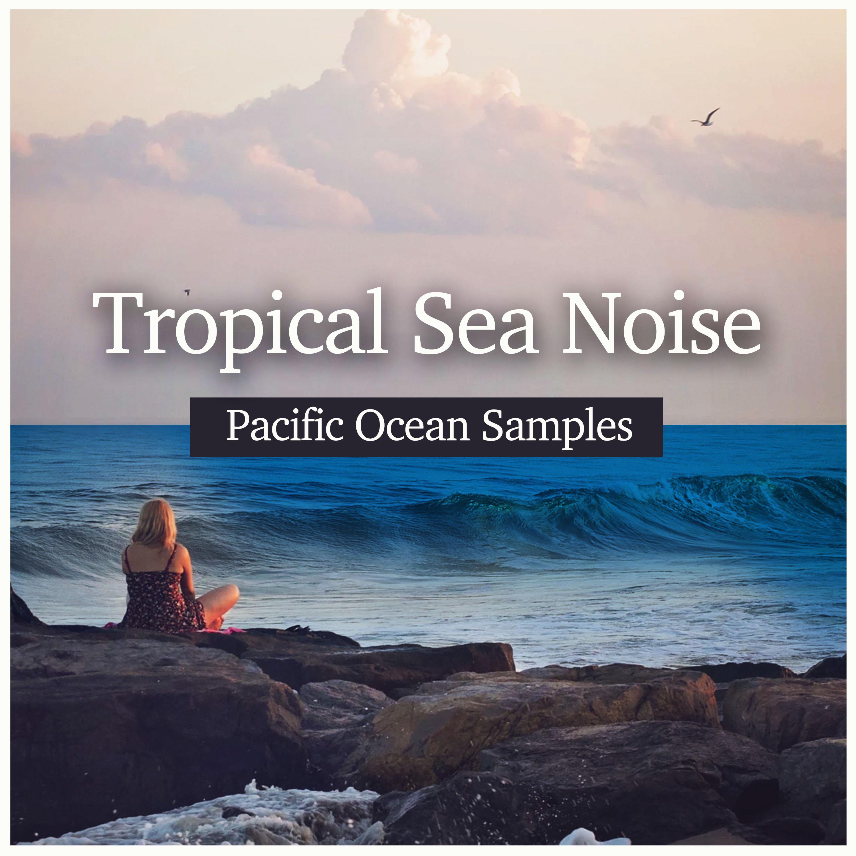 Tropical Sea Noise