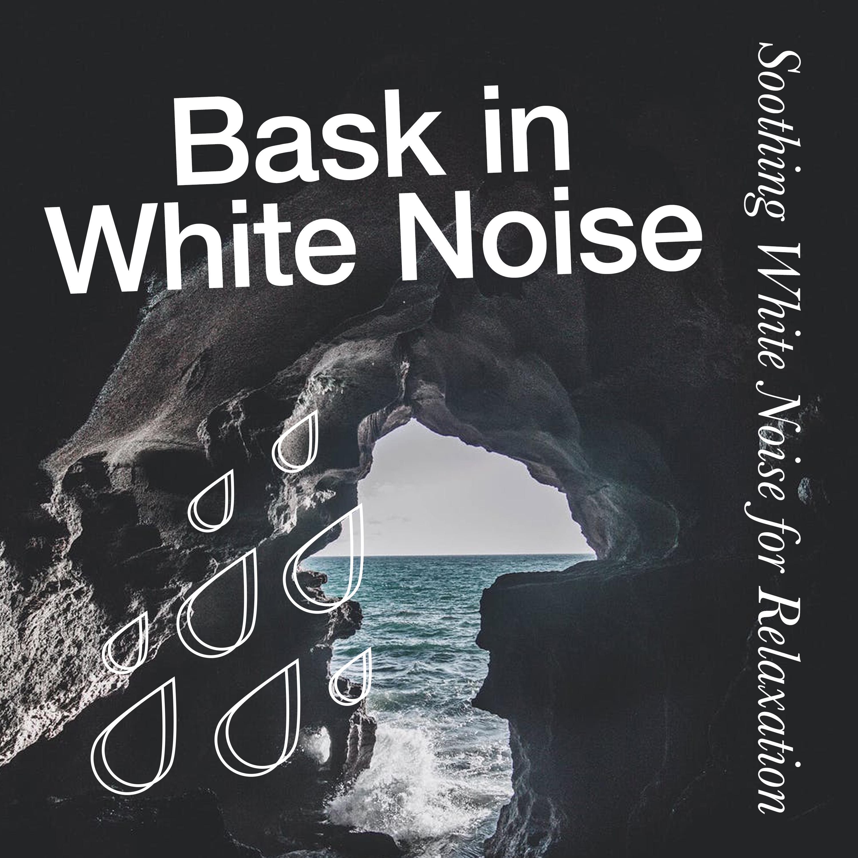 Bask in White Noise