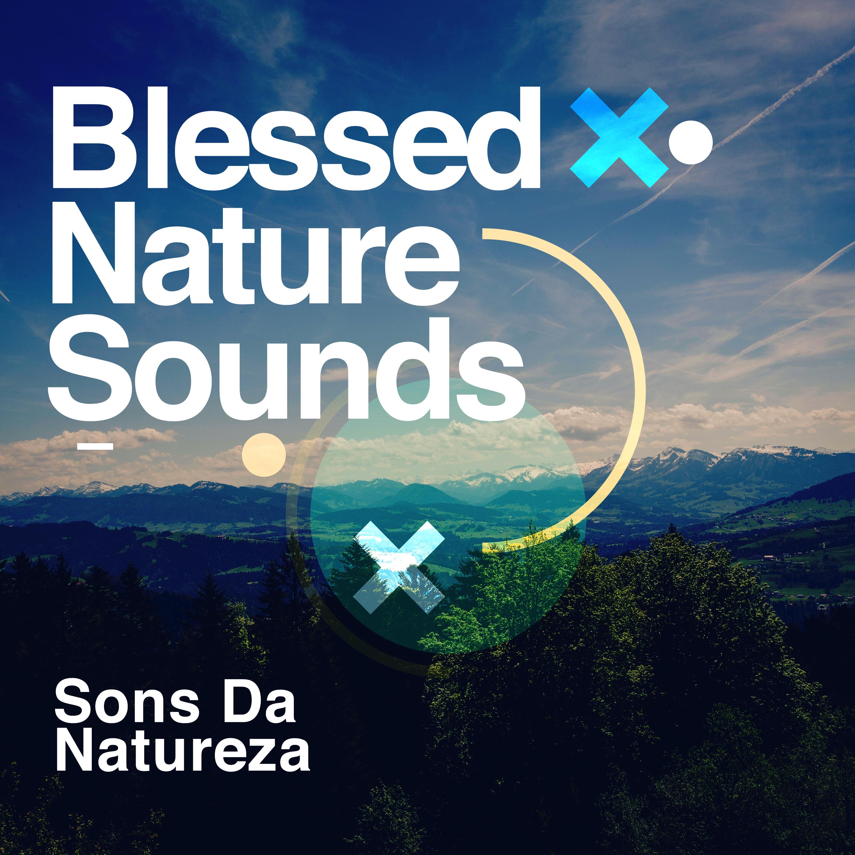 Blessed Nature Sounds