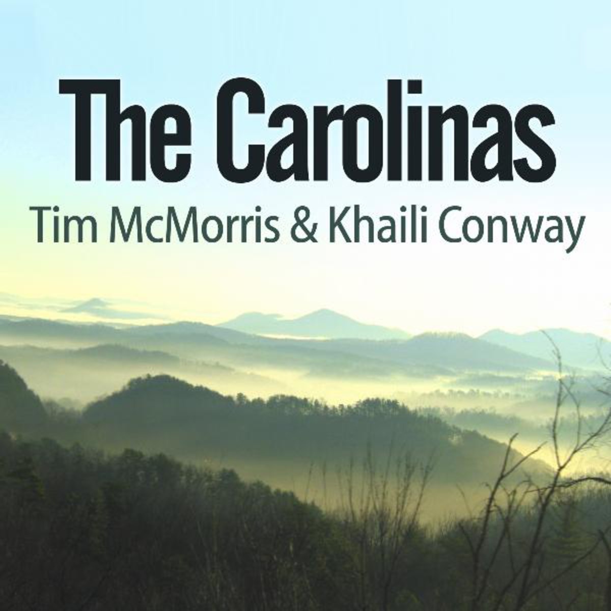 The Carolinas