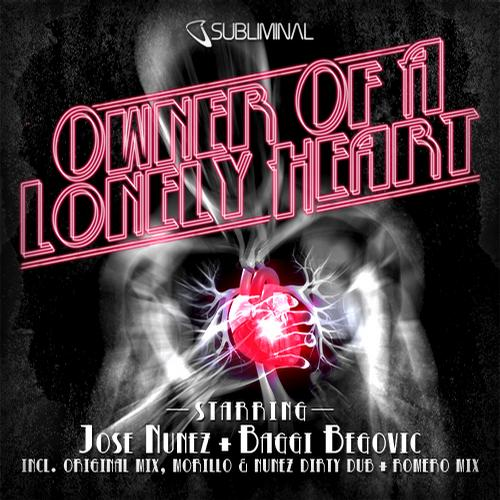 Owner Of A Lonely Heart (Original Mix)