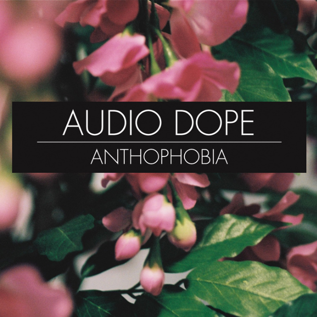 Anthophobia