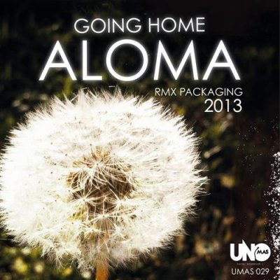 Going Home (Lukas Wolf Remix)