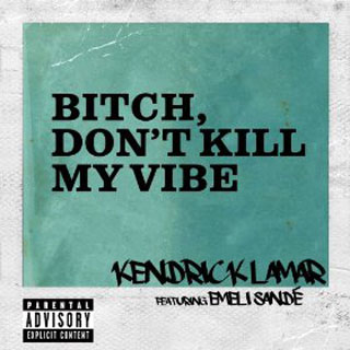 Bitch, Don't Kill My Vibe (Remix)