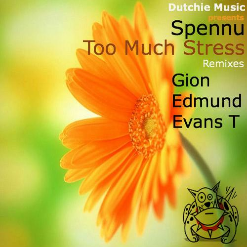 too much stress (evans t remix)