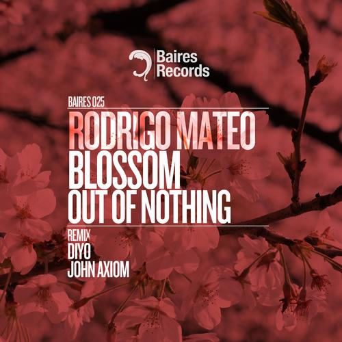 Blossom Out of Nothing (Diyo Remix)