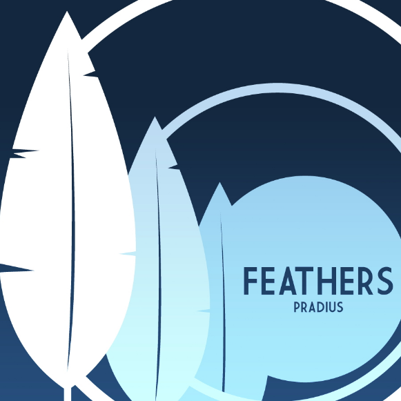 Feathers