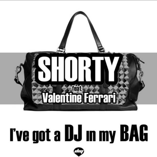 I've Got A Dj In My Bag (Luca Guerrieri Remix)