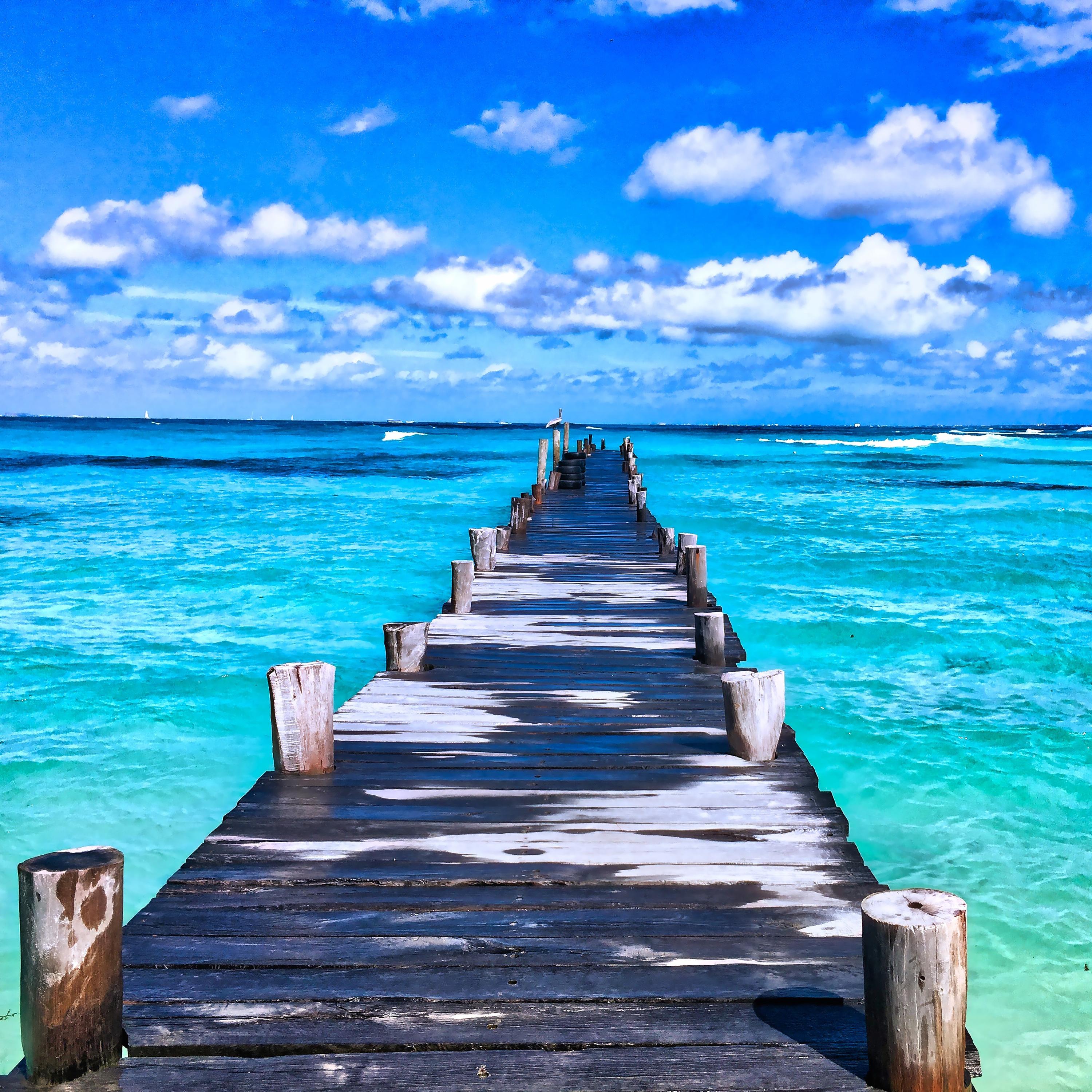 2019 Ambient Spring Relaxation Session Playlist