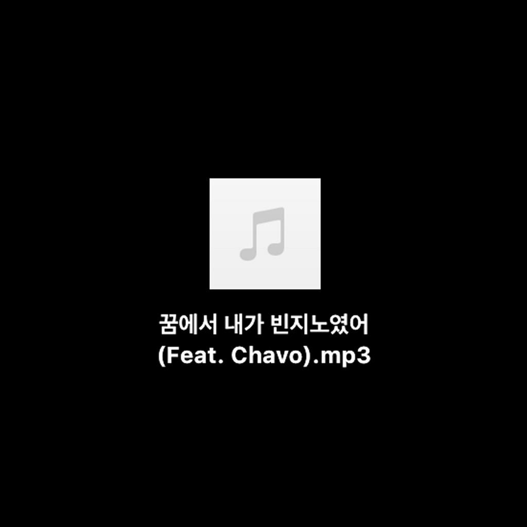 꿈에서 내가 빈지노였어