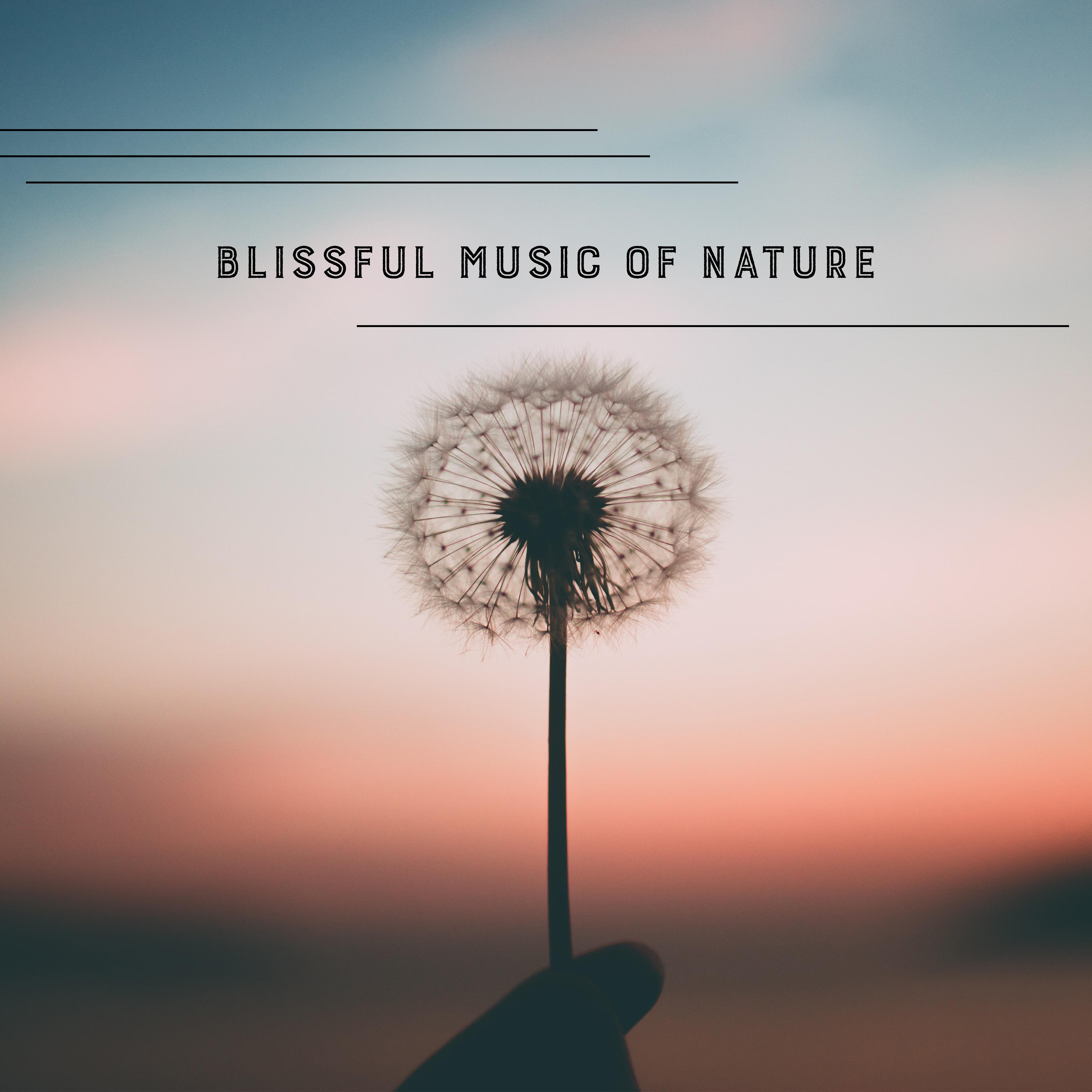 Nature Contemplation