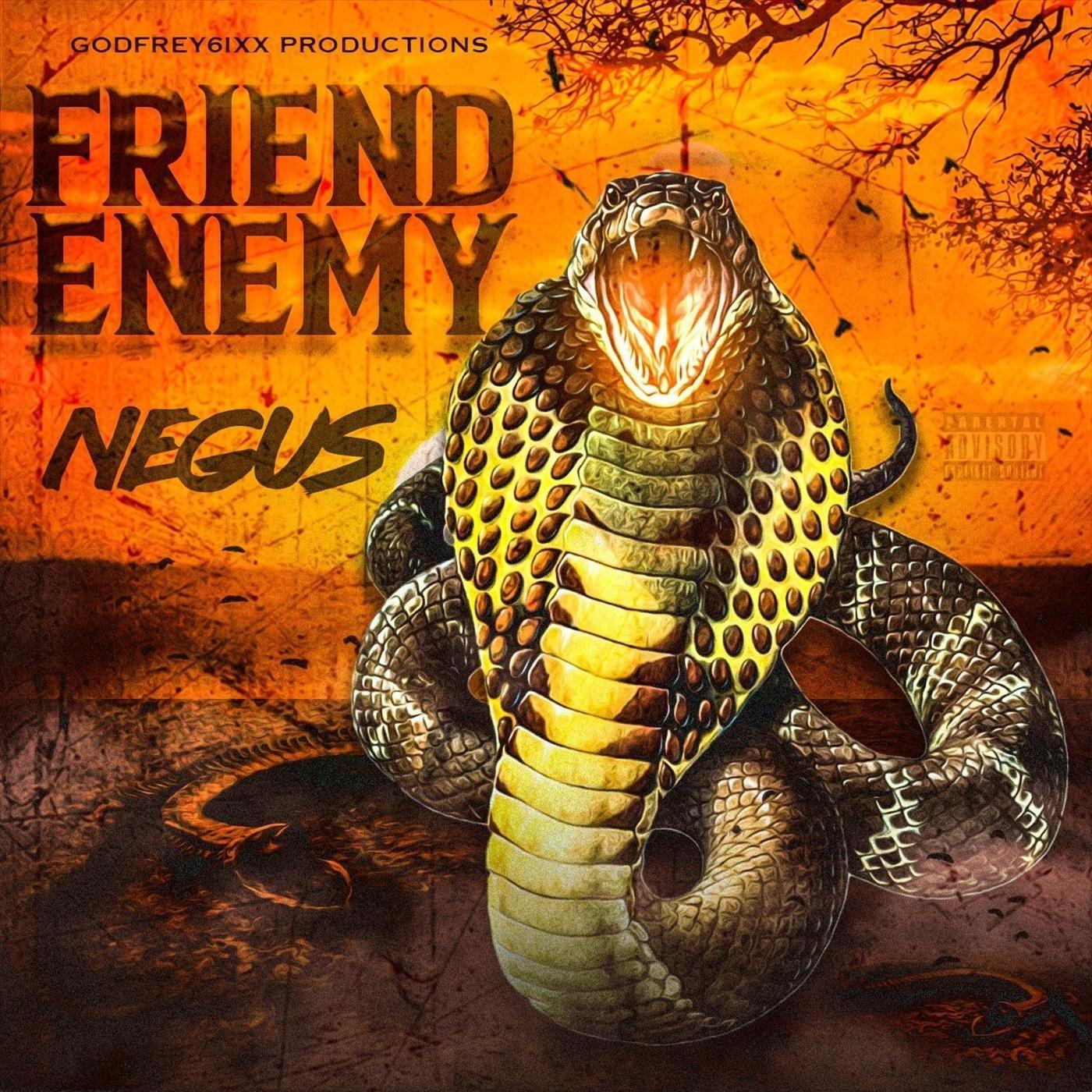 Friend Enemy