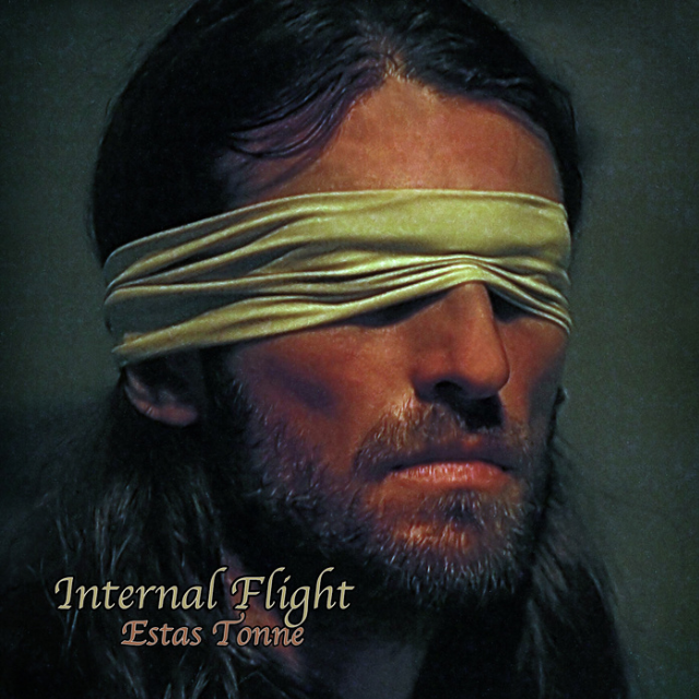 Internal Flight.Estas Tonne (guitar version)