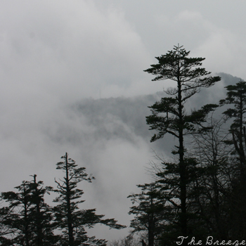 Dancing Raindrops