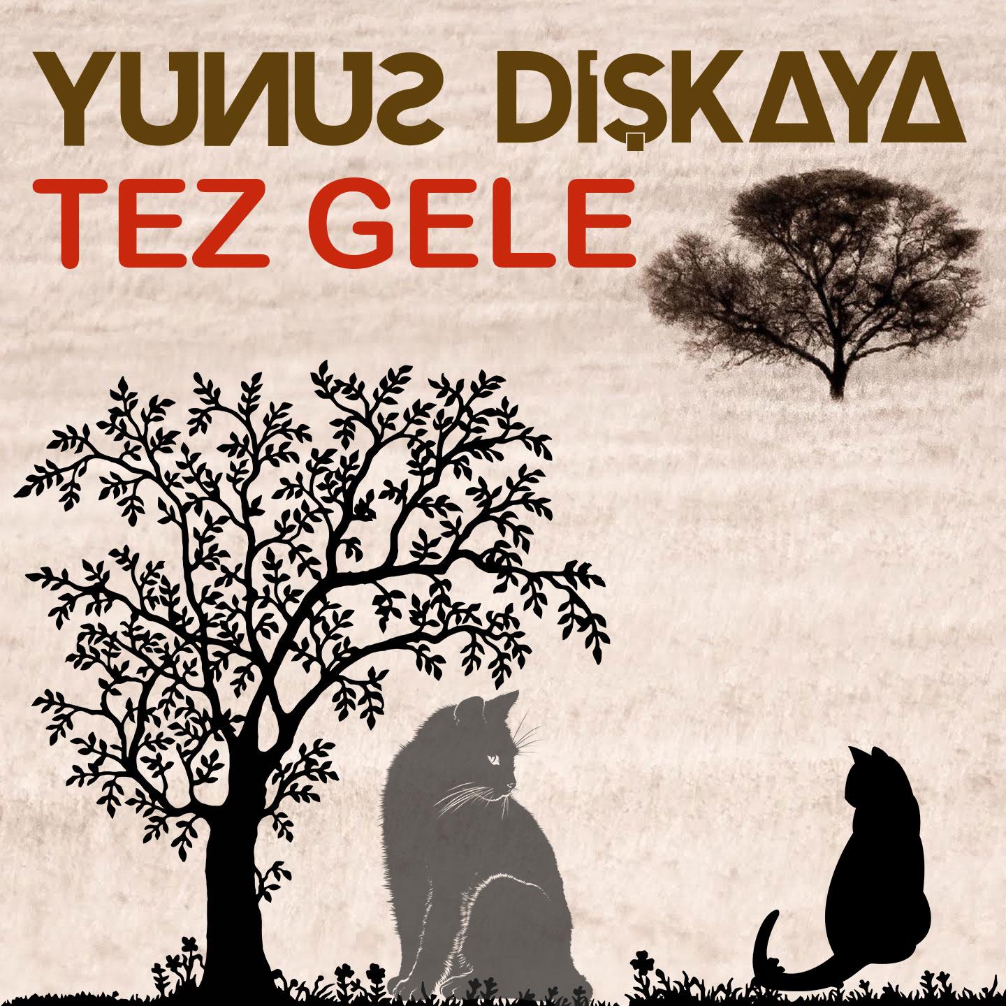 Tez Gele