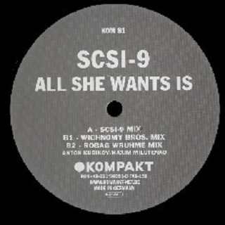 All She Wants Is (Robag Wruhme Mix)