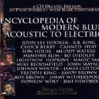 Encyclopedia Of Modern Blues - Acoustic To Electric 