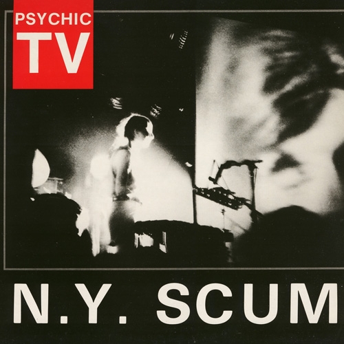 N.Y. Scum