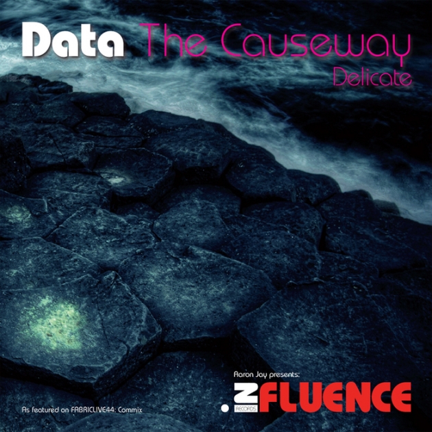 The Causeway / Delicate