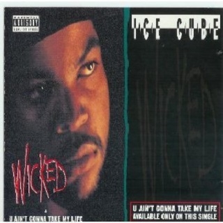 Wicked (Radio mix)