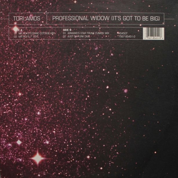 Professional Widow (Armand's Star Trunk Funkin Mix)