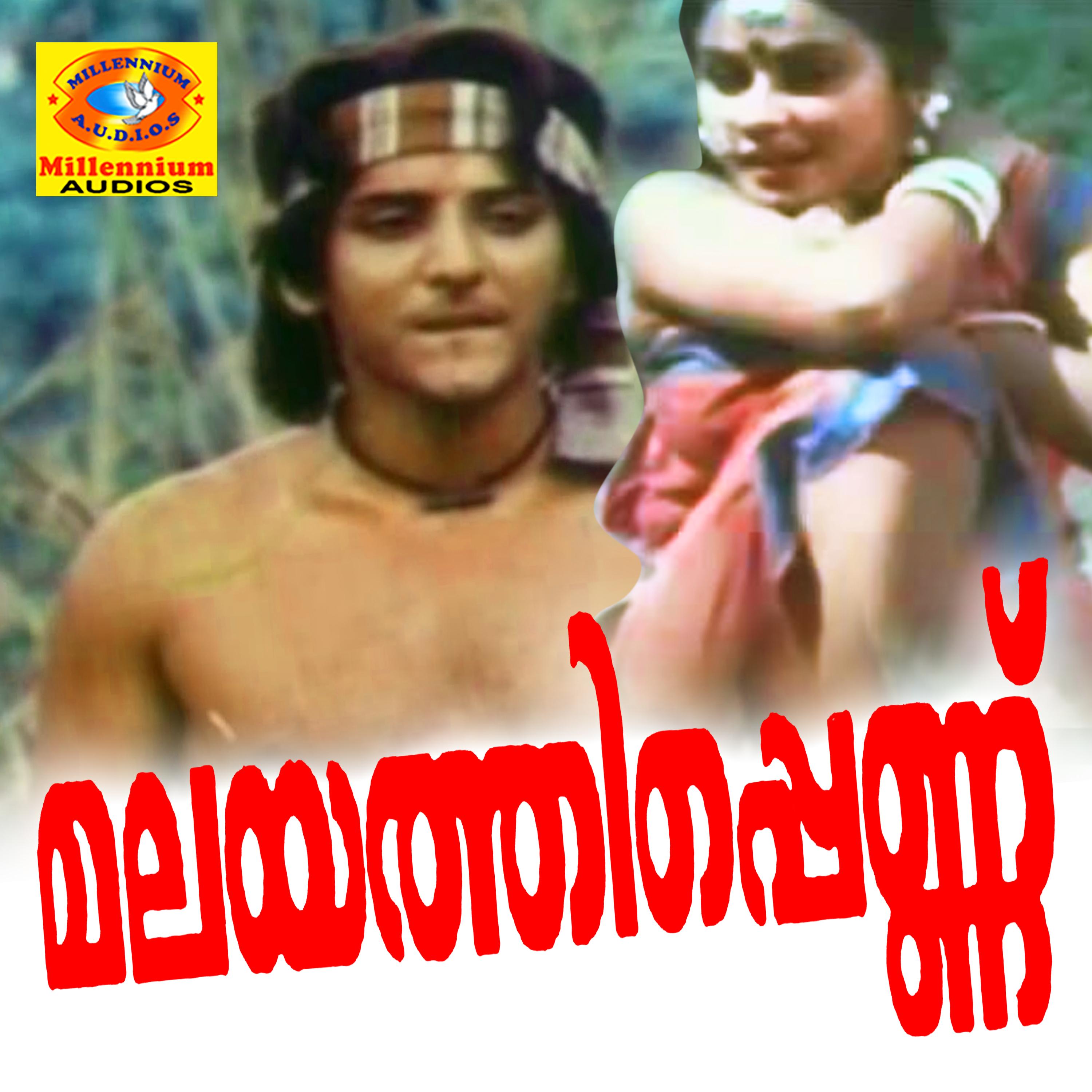 Perikottu