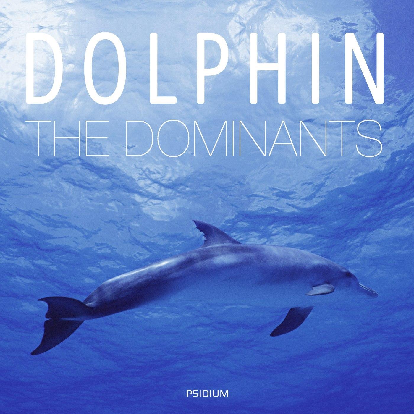 Dolphin