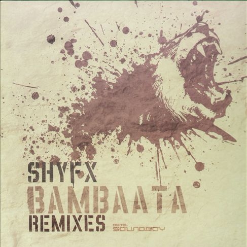 Bambaata (Remixes)