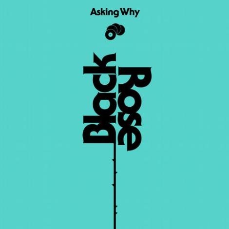 Asking Why