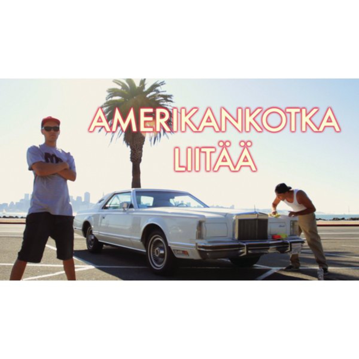 Amerikankotka Liitää