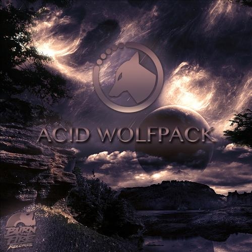 Acid Wolfpack (Original Mix)