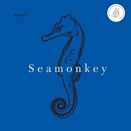 Seamonkey (Surgeon Remix)