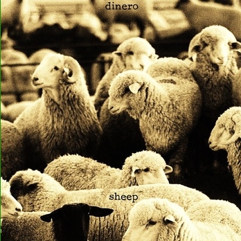 Sheep