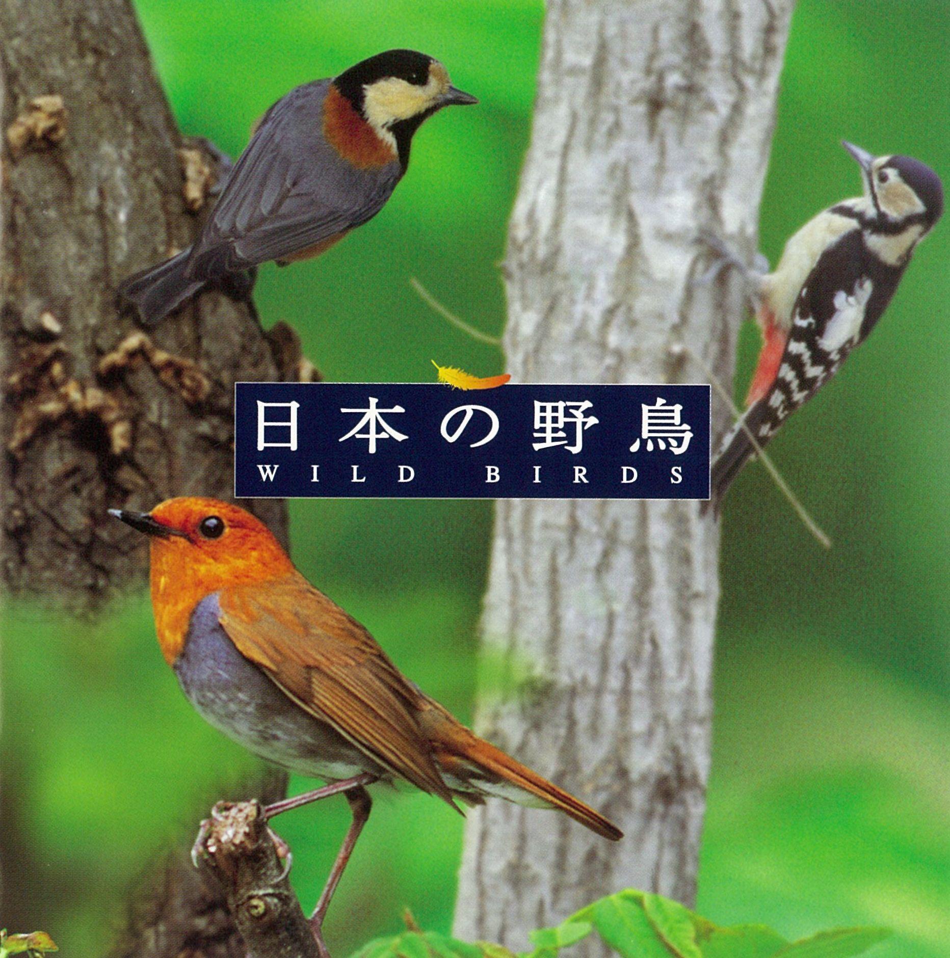 イワヒバリ