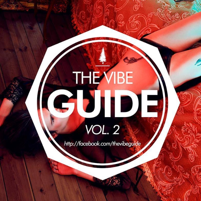 THE VIBE GUIDE Vol. 2