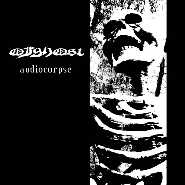 Audiocorpseintro