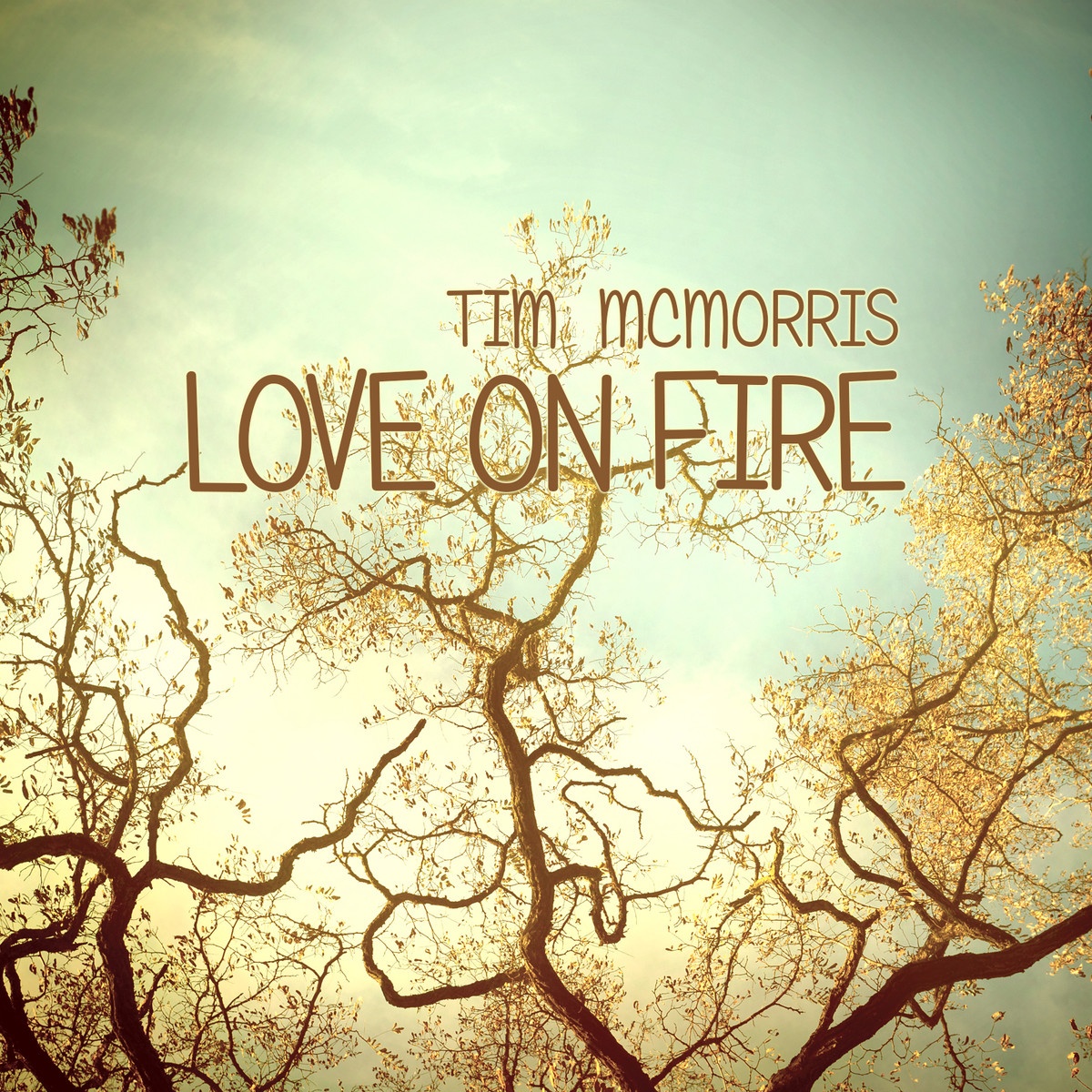 Love on Fire - Single