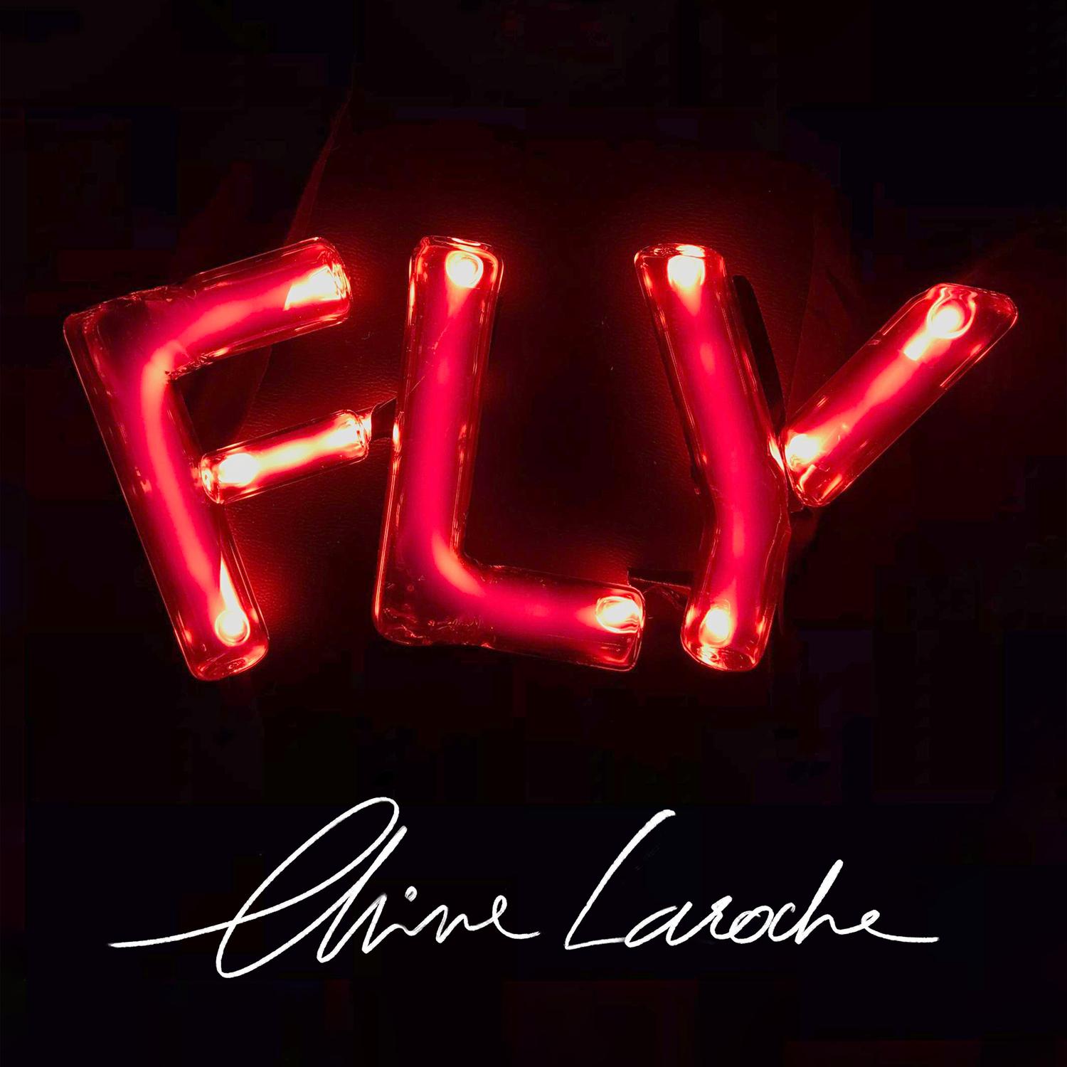 Fly
